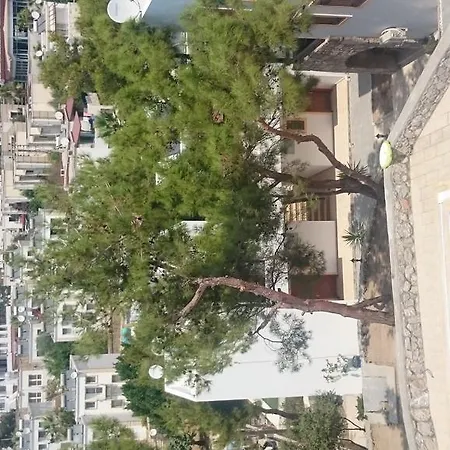 Rose Aparthotel 3*