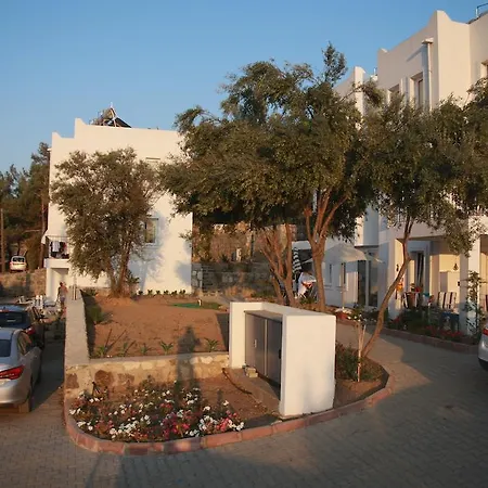 سكن روز