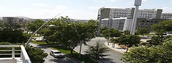 سكن روز